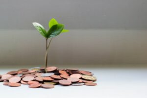 plant growing from stack of coins